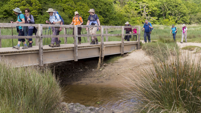 Photograph of Walking Route - Image 64