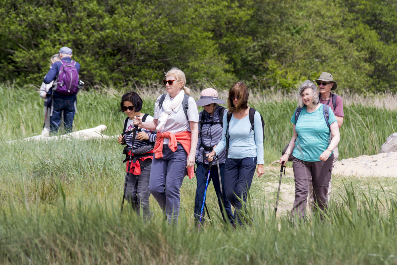 Photograph of Walking Route - Image 65