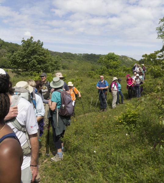 Photograph of Walking Route - Image 67