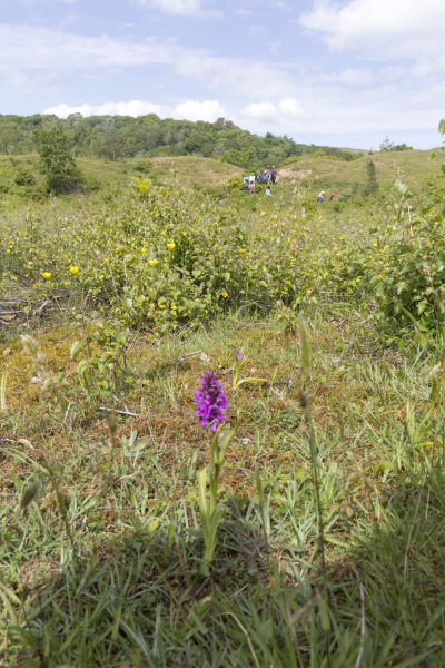 Photograph of Walking Route - Image 68
