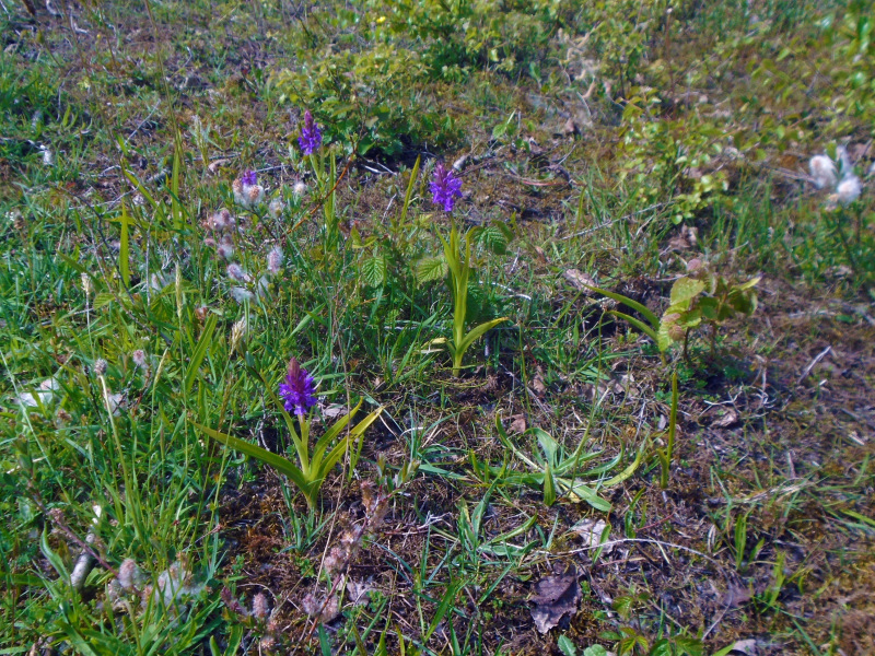 Photograph of Walking Route - Image 69