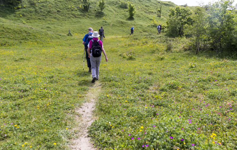 Photograph of Walking Route - Image 70