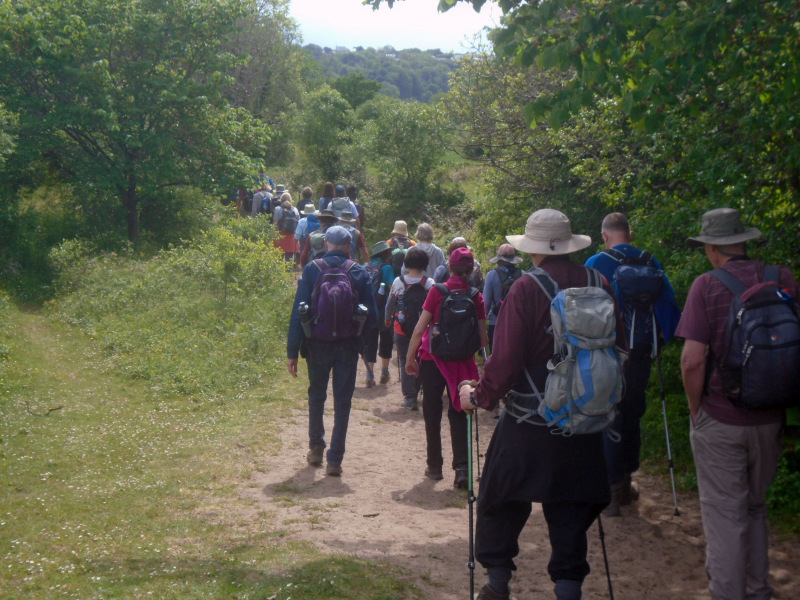Photograph of Walking Route - Image 71