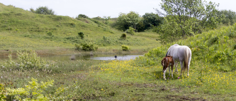 Photograph of Walking Route - Image 74