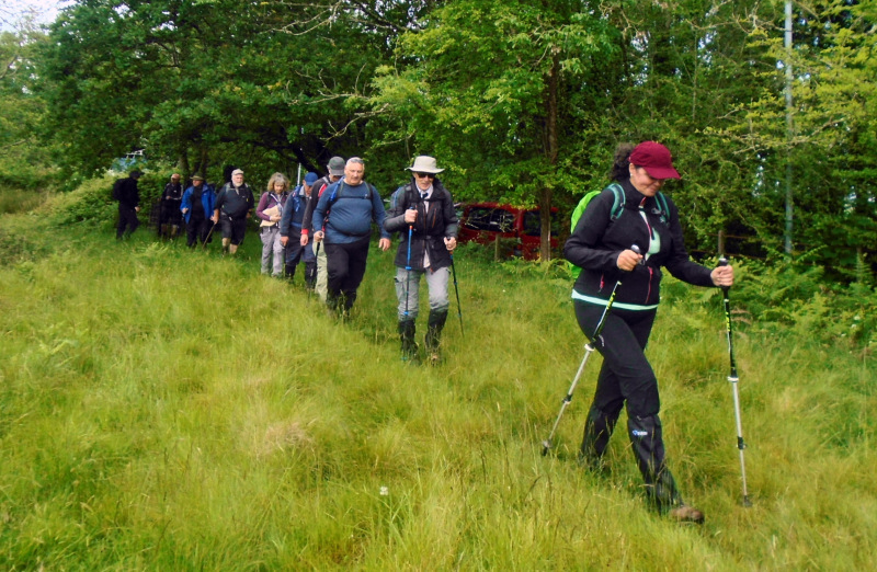 Photograph of Walking Route - Image 1