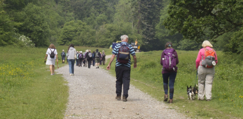 Photograph of Walking Route - Image 3