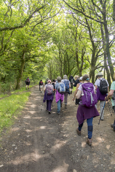 Photograph of Walking Route - Image 5
