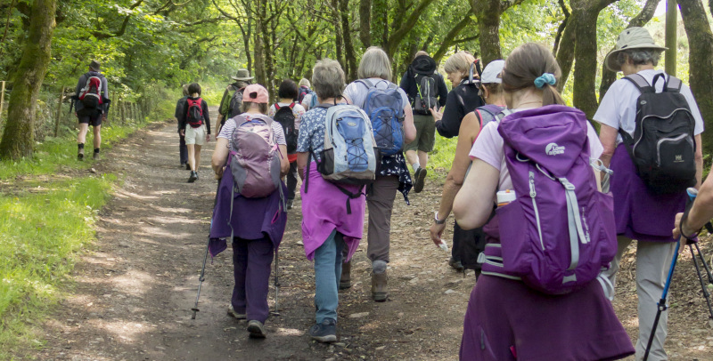 Photograph of Walking Route - Image 6