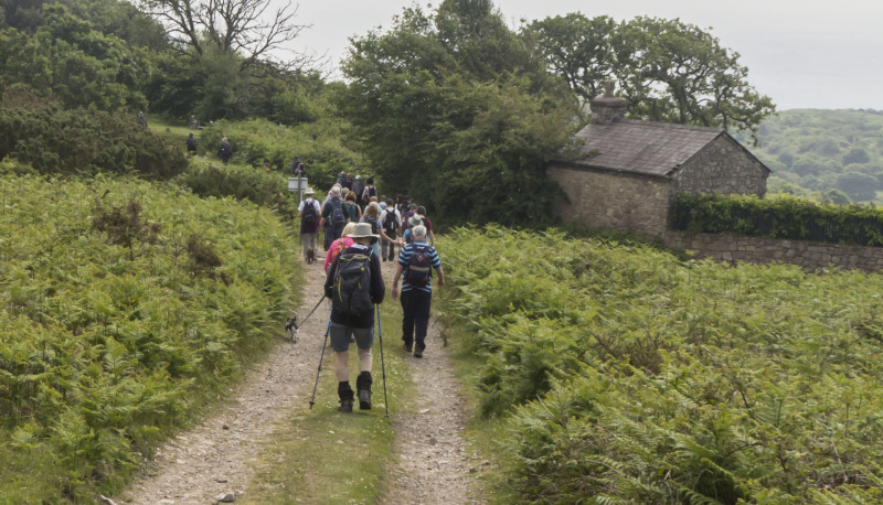 Photograph of Walking Route - Image 8
