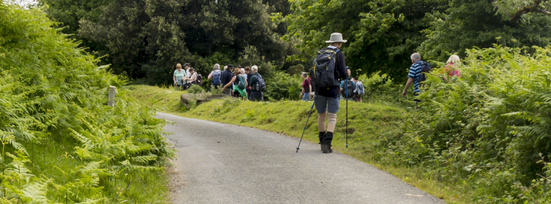 Photograph of Walking Route - Image 9