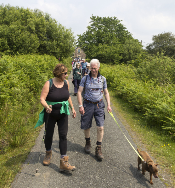 Photograph of Walking Route - Image 11