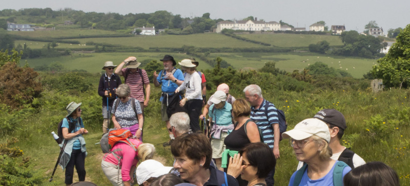 Photograph of Walking Route - Image 13