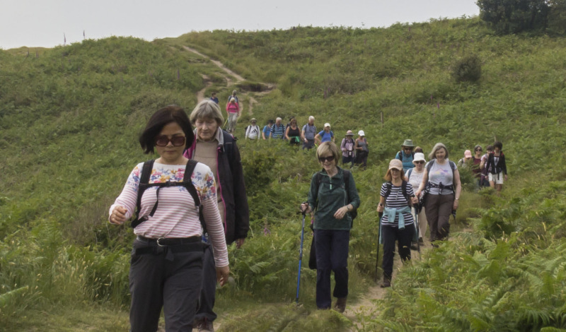 Photograph of Walking Route - Image 18