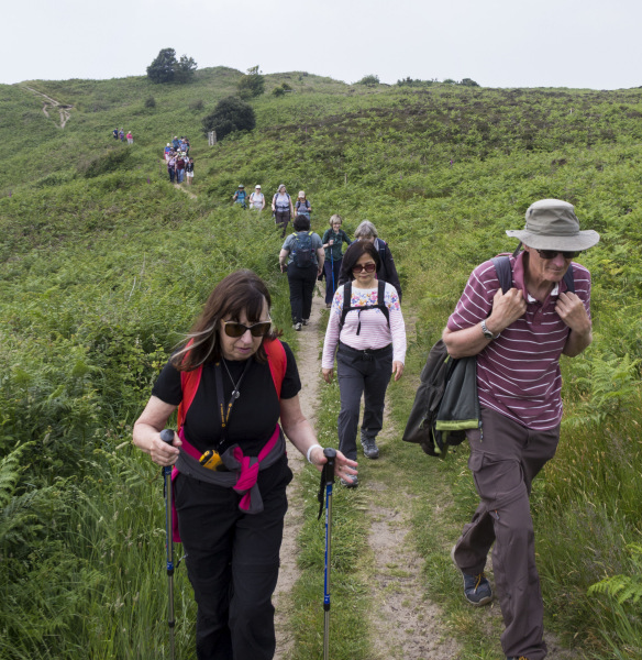 Photograph of Walking Route - Image 19