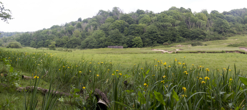 Photograph of Walking Route - Image 30