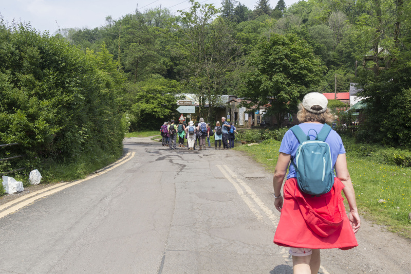 Photograph of Walking Route - Image 31