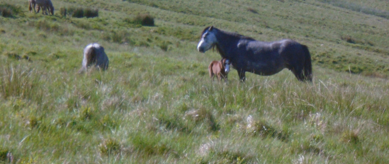 Photograph of Walking Route - Image 3