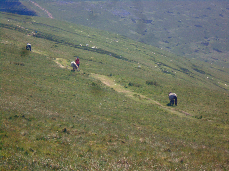 Photograph of Walking Route - Image 6