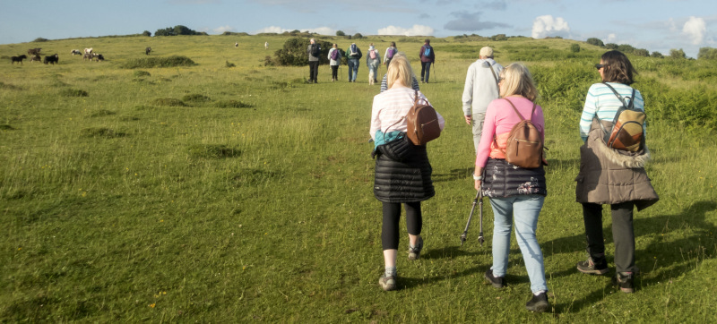 Photograph of Walking Route - Image 2