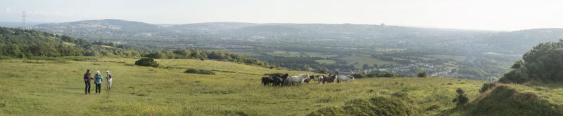 Photograph of Walking Route - Image 6