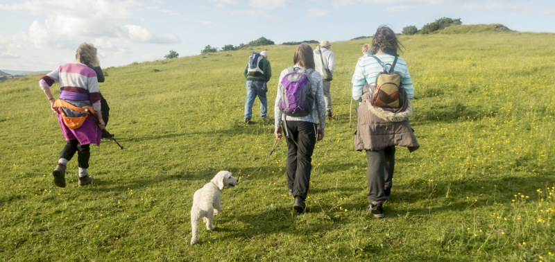 Photograph of Walking Route - Image 7