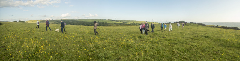 Photograph of Walking Route - Image 10