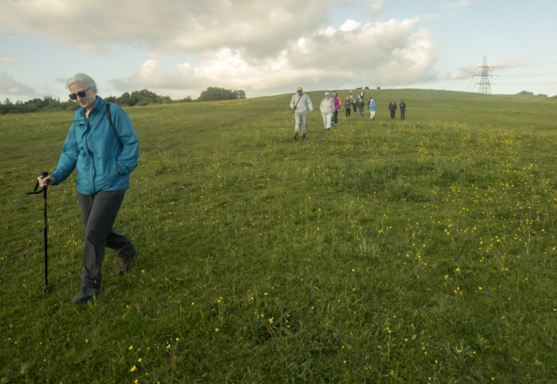 Photograph of Walking Route - Image 13