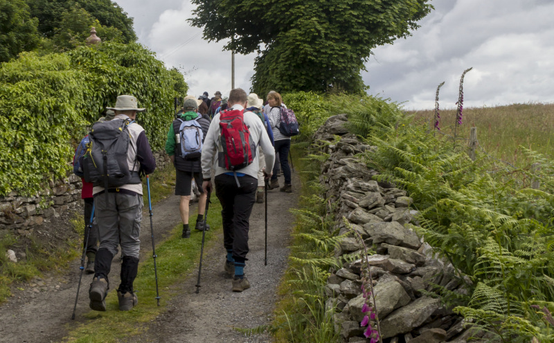 Photograph of Walking Route - Image 4