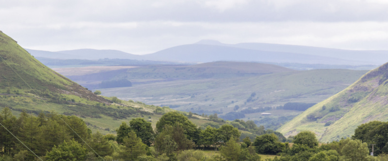 Photograph of Walking Route - Image 7