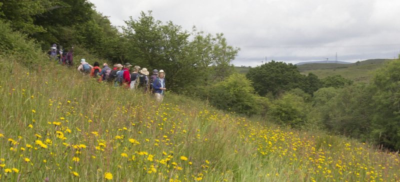 Photograph of Walking Route - Image 8