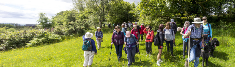 Photograph of Walking Route - Image 10