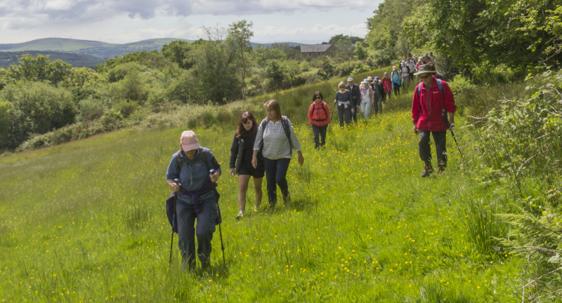 Photograph of Walking Route - Image 12