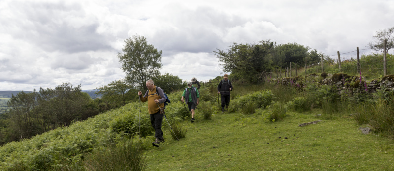 Photograph of Walking Route - Image 14