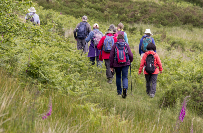 Photograph of Walking Route - Image 15