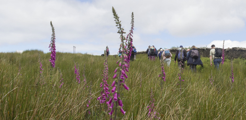 Photograph of Walking Route - Image 18