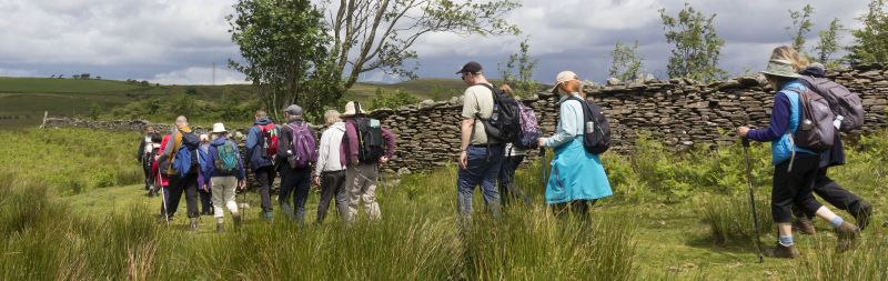 Photograph of Walking Route - Image 19