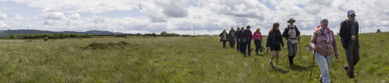Photograph of Walking Route - Image 23