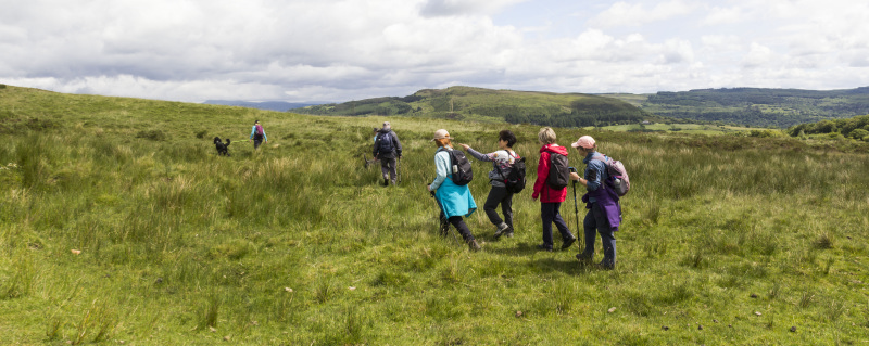 Photograph of Walking Route - Image 25
