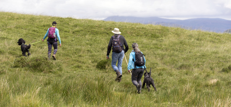 Photograph of Walking Route - Image 26