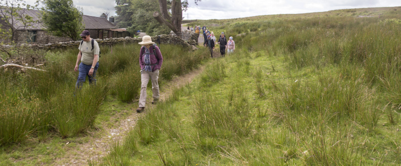 Photograph of Walking Route - Image 31