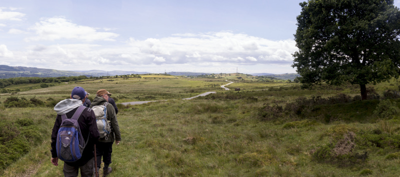 Photograph of Walking Route - Image 41