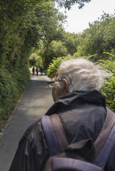 Photograph of Walking Route - Image 44