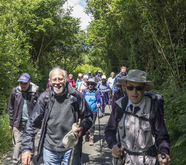 Photograph of Walking Route - Image 45