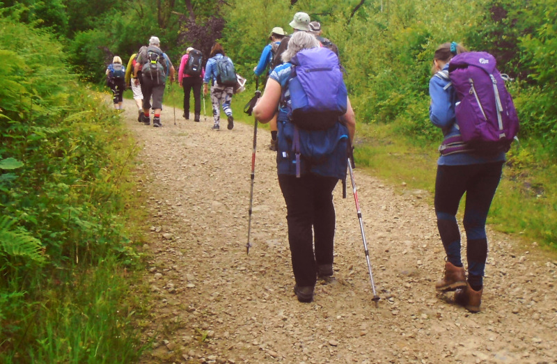 Photograph of Walking Route - Image 2