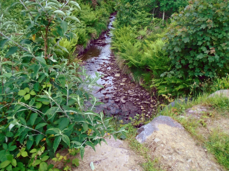 Photograph of Walking Route - Image 3
