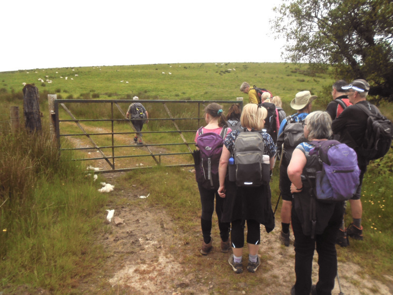 Photograph of Walking Route - Image 5