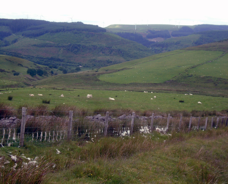 Photograph of Walking Route - Image 9
