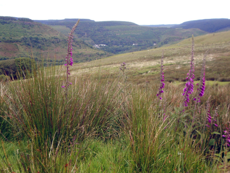 Photograph of Walking Route - Image 13