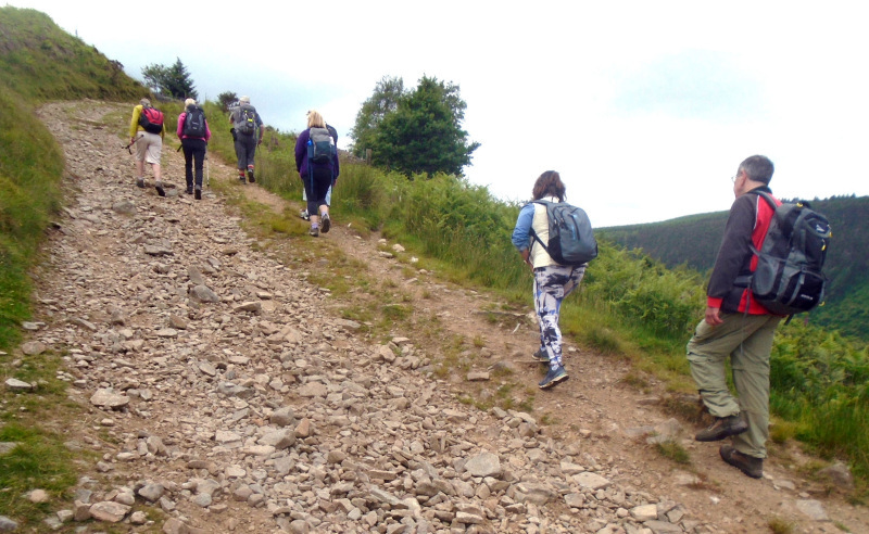 Photograph of Walking Route - Image 14