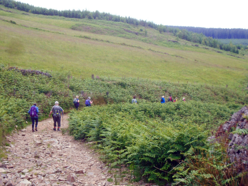 Photograph of Walking Route - Image 16